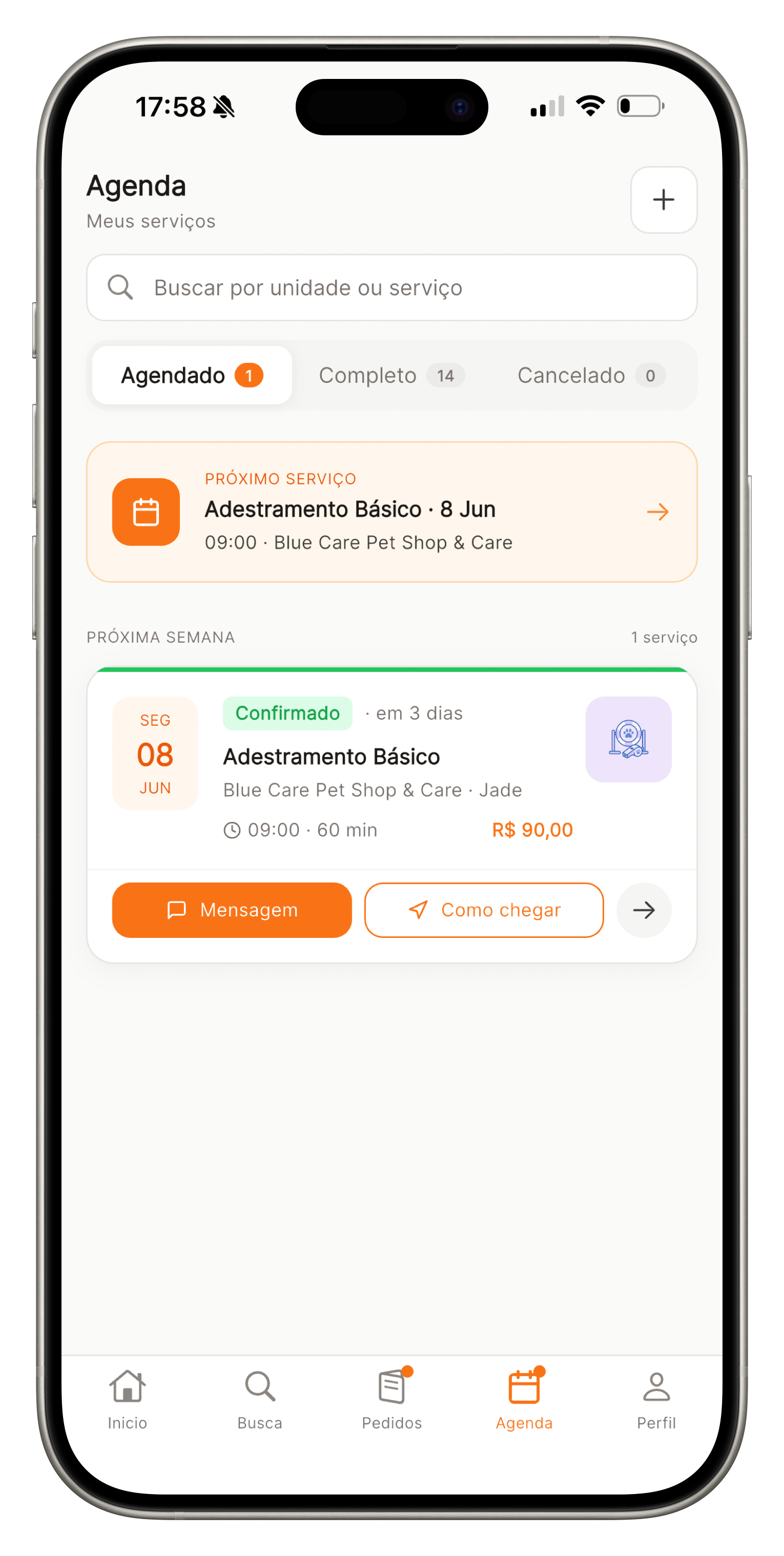 Tela de agenda do app do tutor com próximo serviço e confirmação